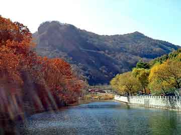 澳门二四六天天免费好材料，孙守刚 背景